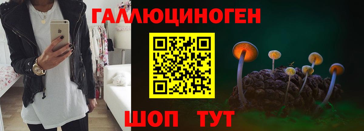 Кашира  Галлюциногенные грибы GOLDEN TEACHER  Вход с VPN 